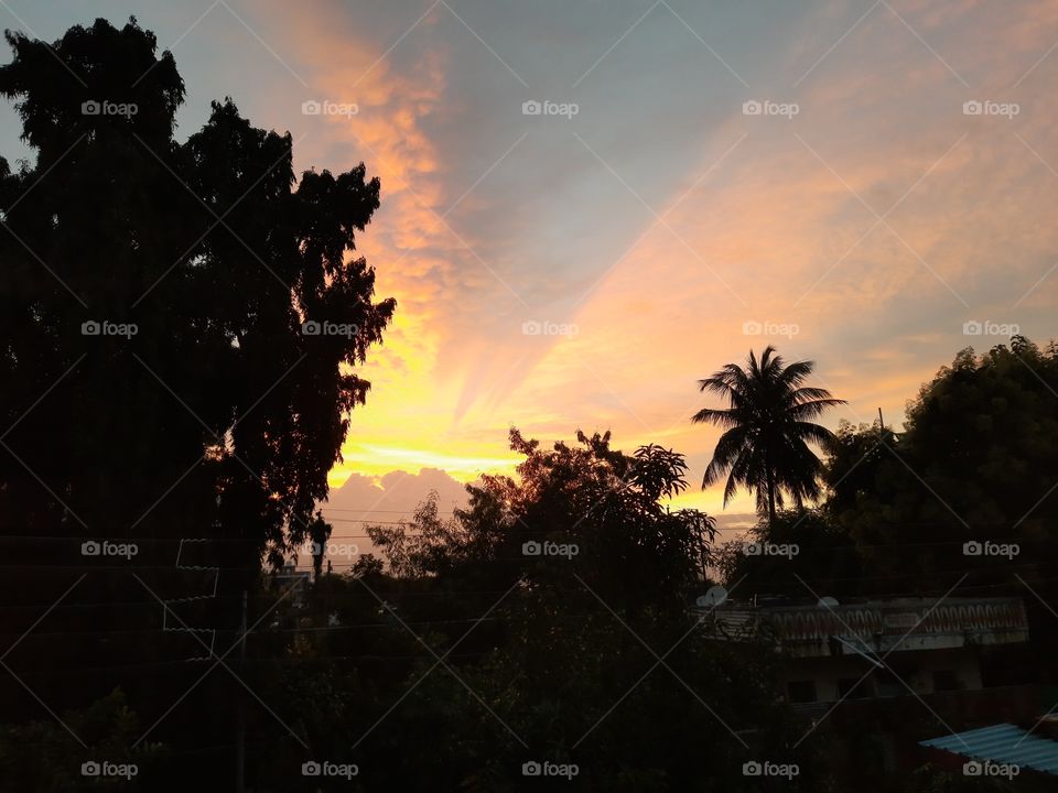 The Evening Time Of My City