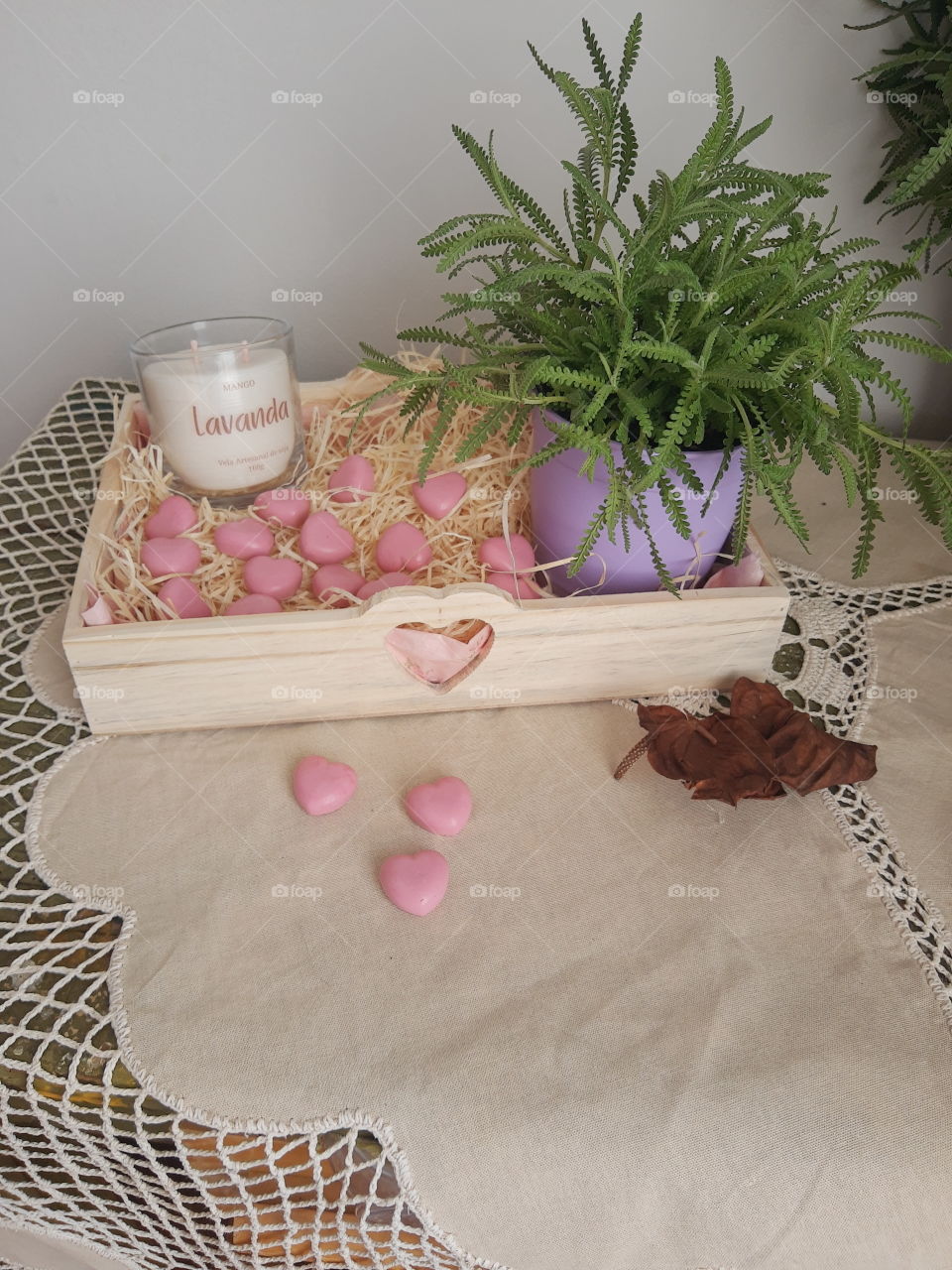 box with a lavander plant