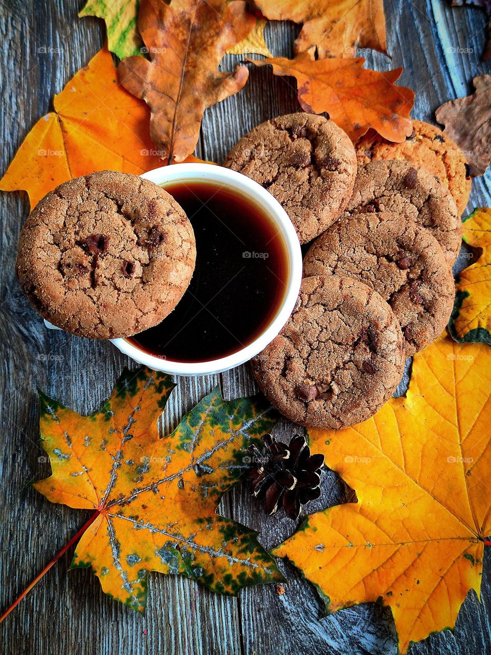 Chocolate chip cookies.  On a wooden background is a white cup with black coffee.  On the edge of the cup lies a chocolate chip cookie.  There are chocolate chip cookies next to the cup.  Decorates the background with autumn yellow leaves and a cone