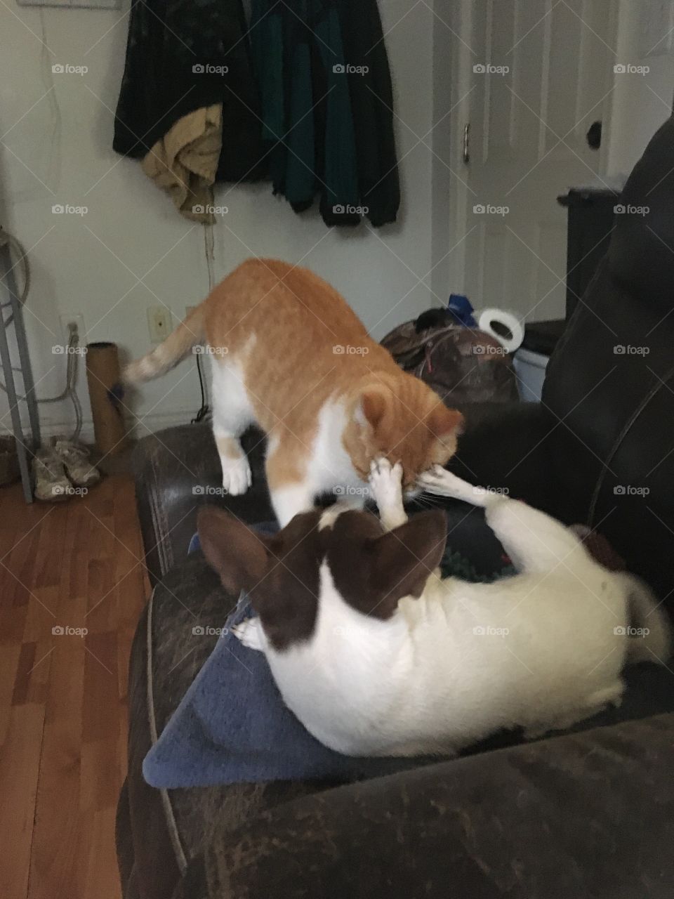 Get your feet outta my face, No that tickles! Help! Hee hee hee  just wait I’ll get you!