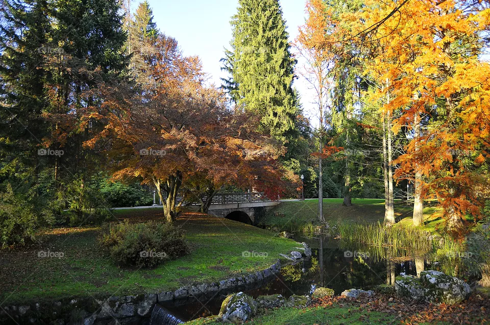 Park 