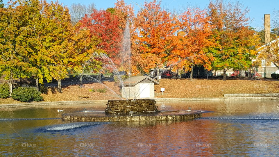 fall morning at the park