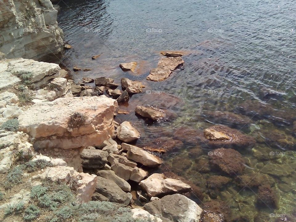 sea rocks