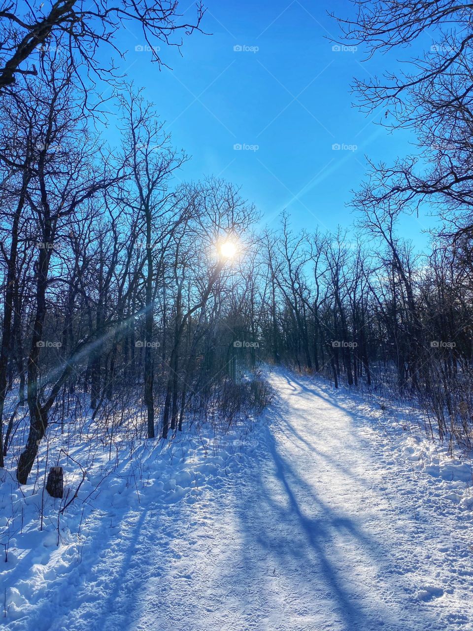 Winter trail 