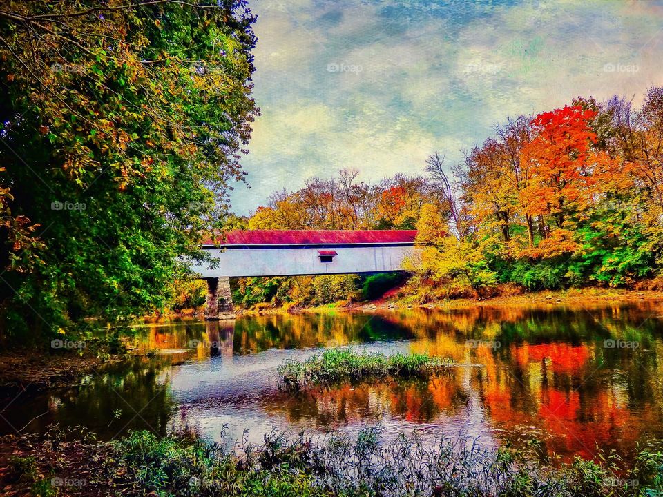 Fall views in Indiana. 