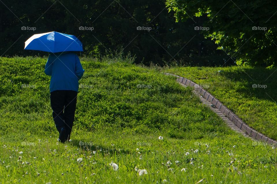 Umbrella