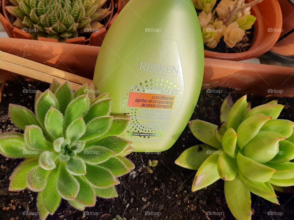 Hair Treatment Favourite