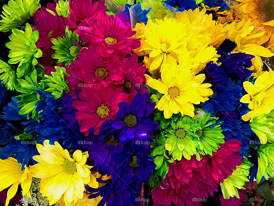 Colorful flowers