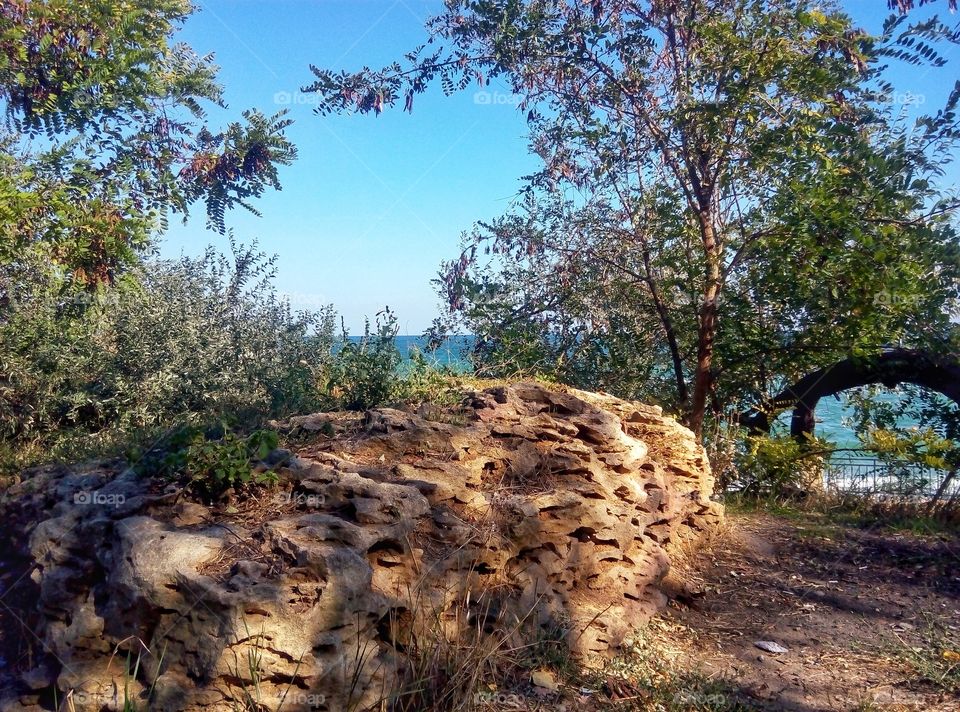 Landscape, Tree, Nature, Sky, No Person