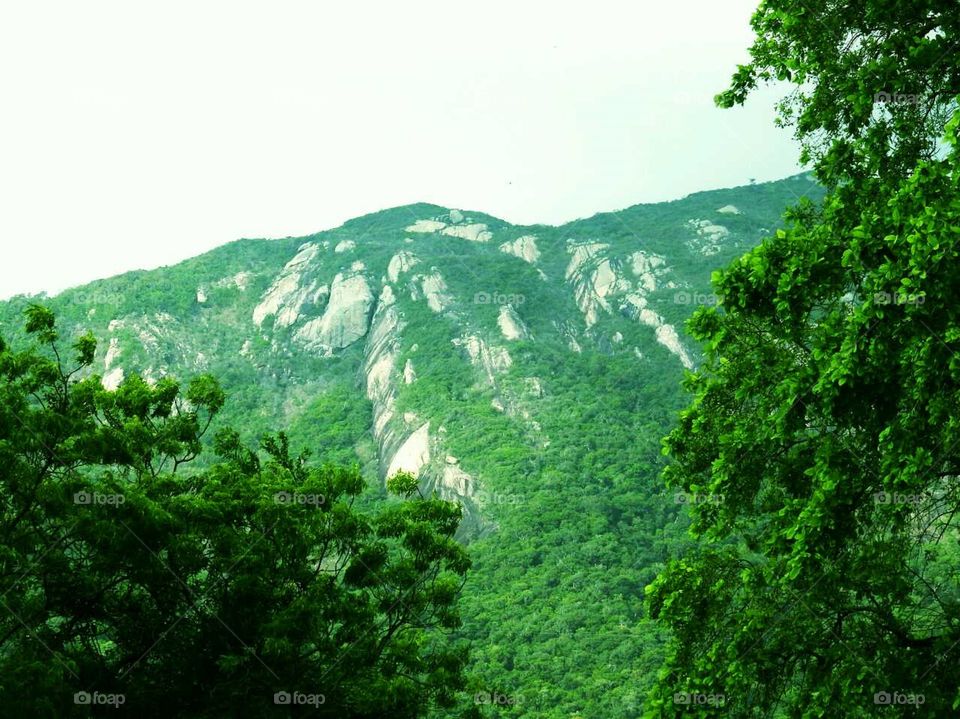 Mist touches the mountains and trees to give a dark green colour "Go Green ⛰️💚🍏"