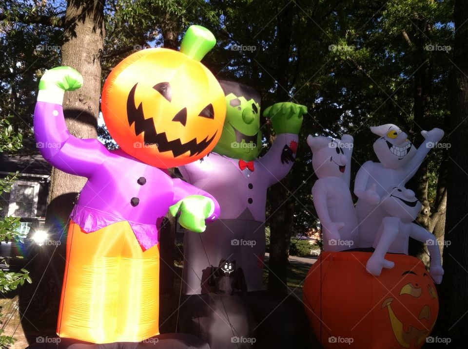 Festival, Celebration, Fun, People, Child