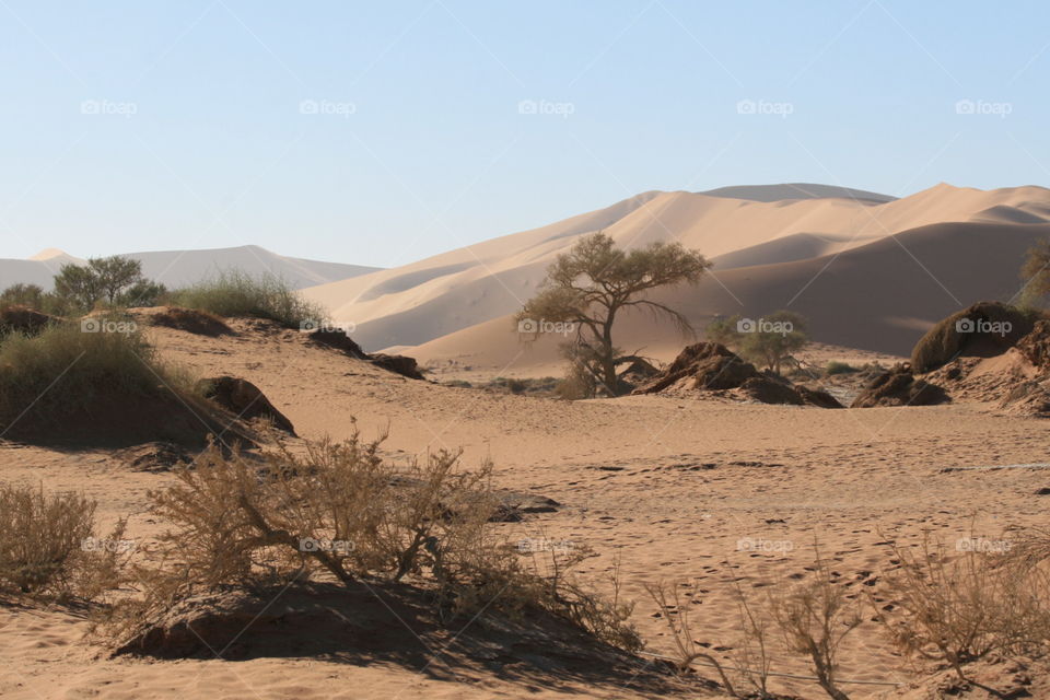 Sossusvlei desert