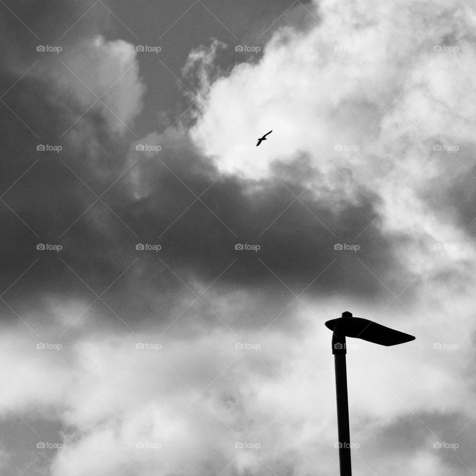 Black and white lamp-post and bird flying high in the clouds
