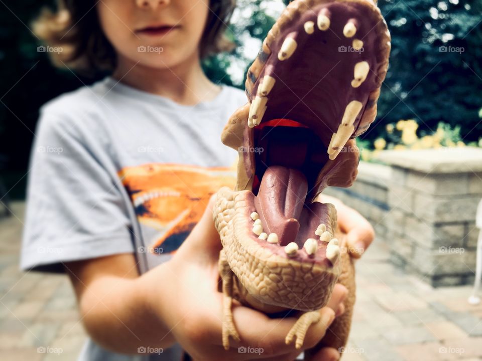 Dinosaur has big teeth 