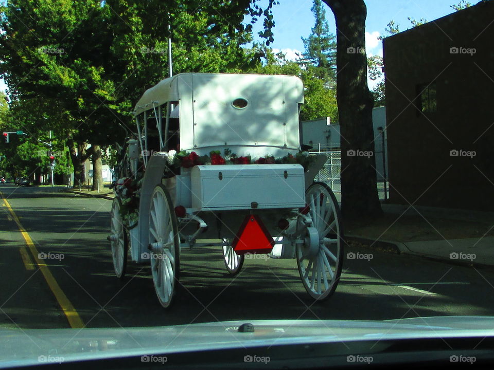 Vehicle, Transportation System, Car, Road, Street