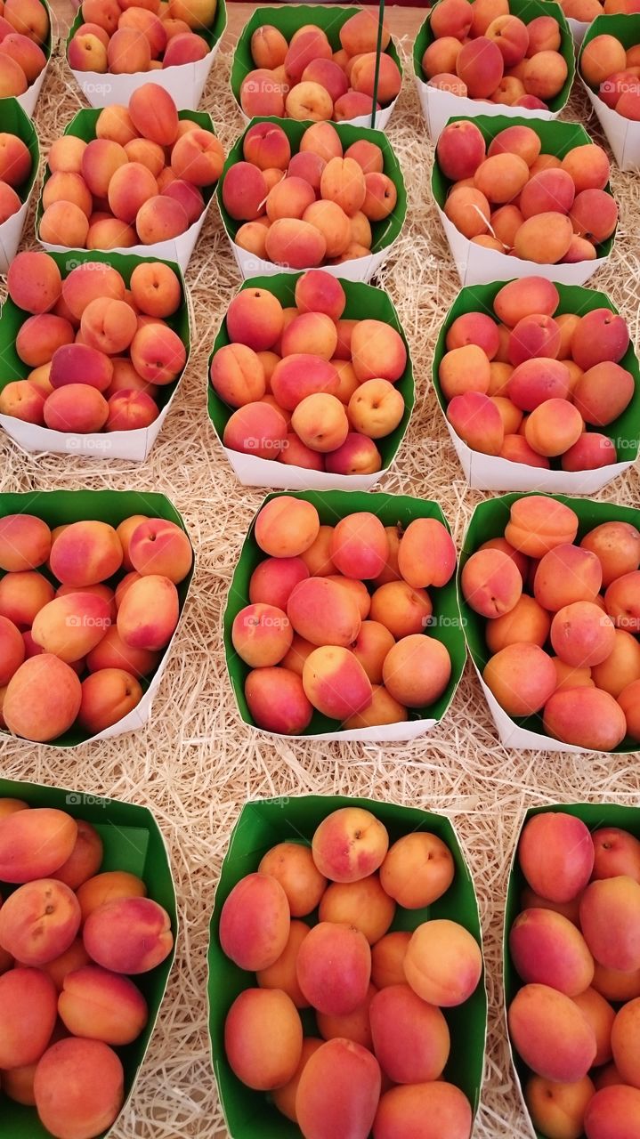 Directly above shot of fruits