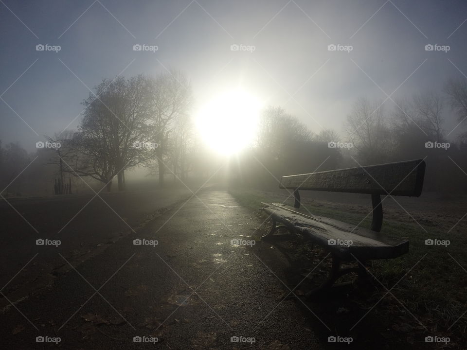 Sun Shining On A Foggy Morning On A Park Bench 