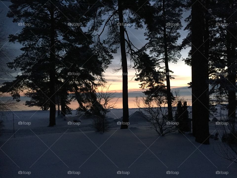 Beautiful morning in January! 