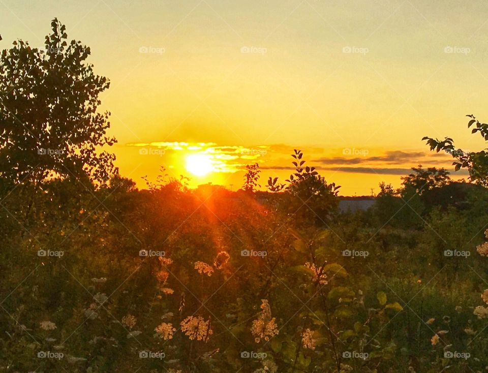 Sunset in the backyard