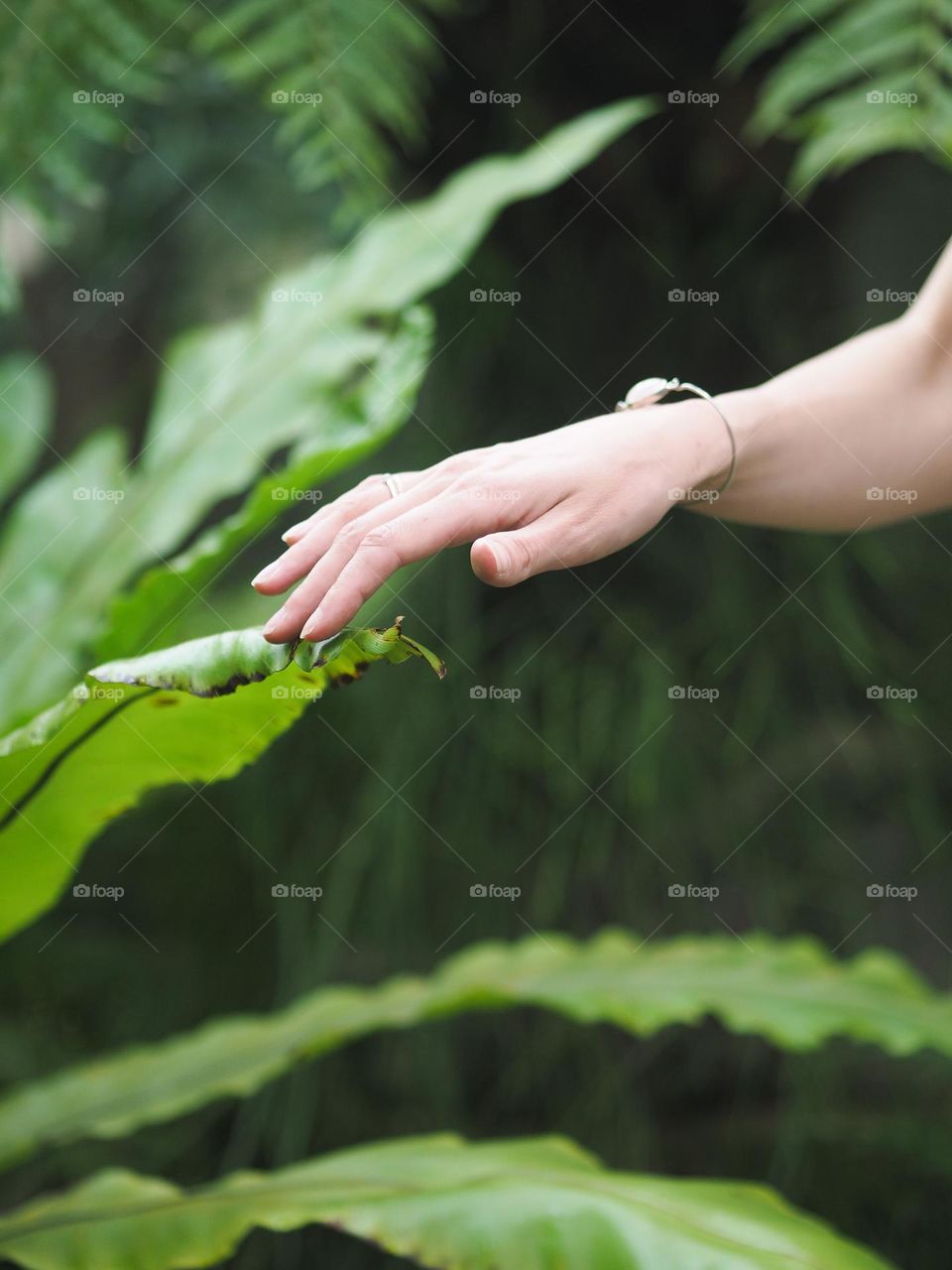 Female hand touch green leaf in botanical garden 