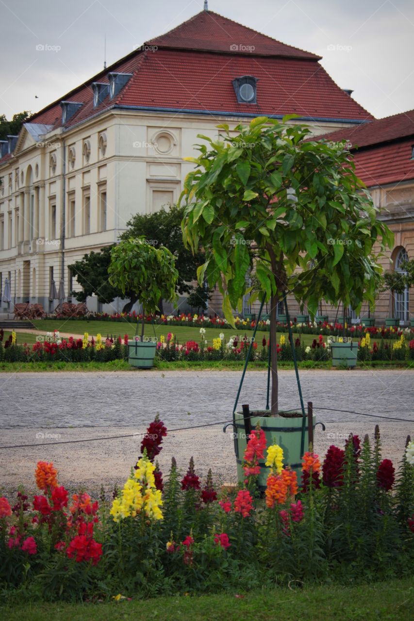 Adventures in Germany 