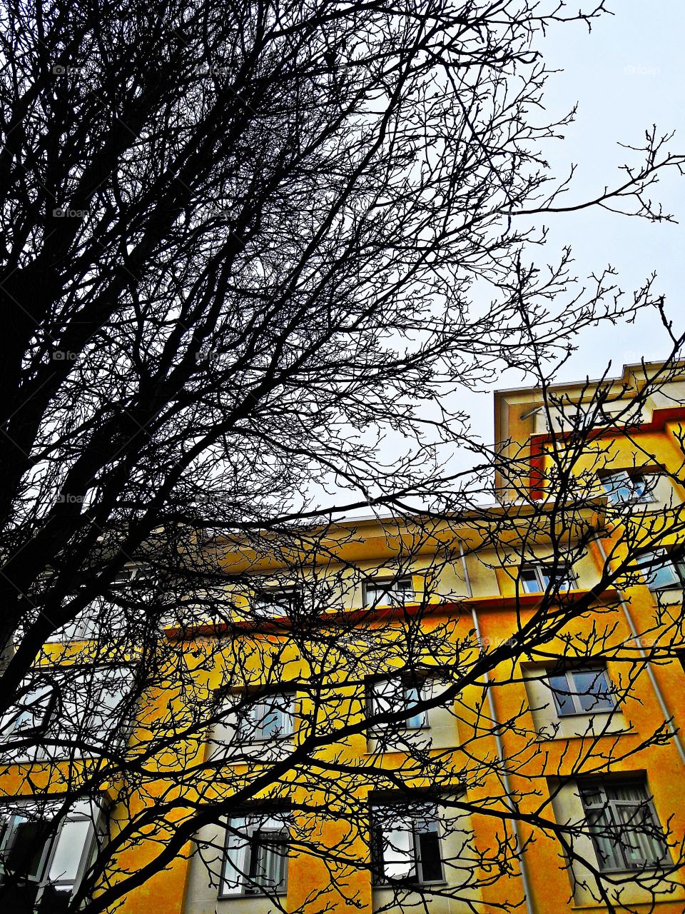 Student Accomodation