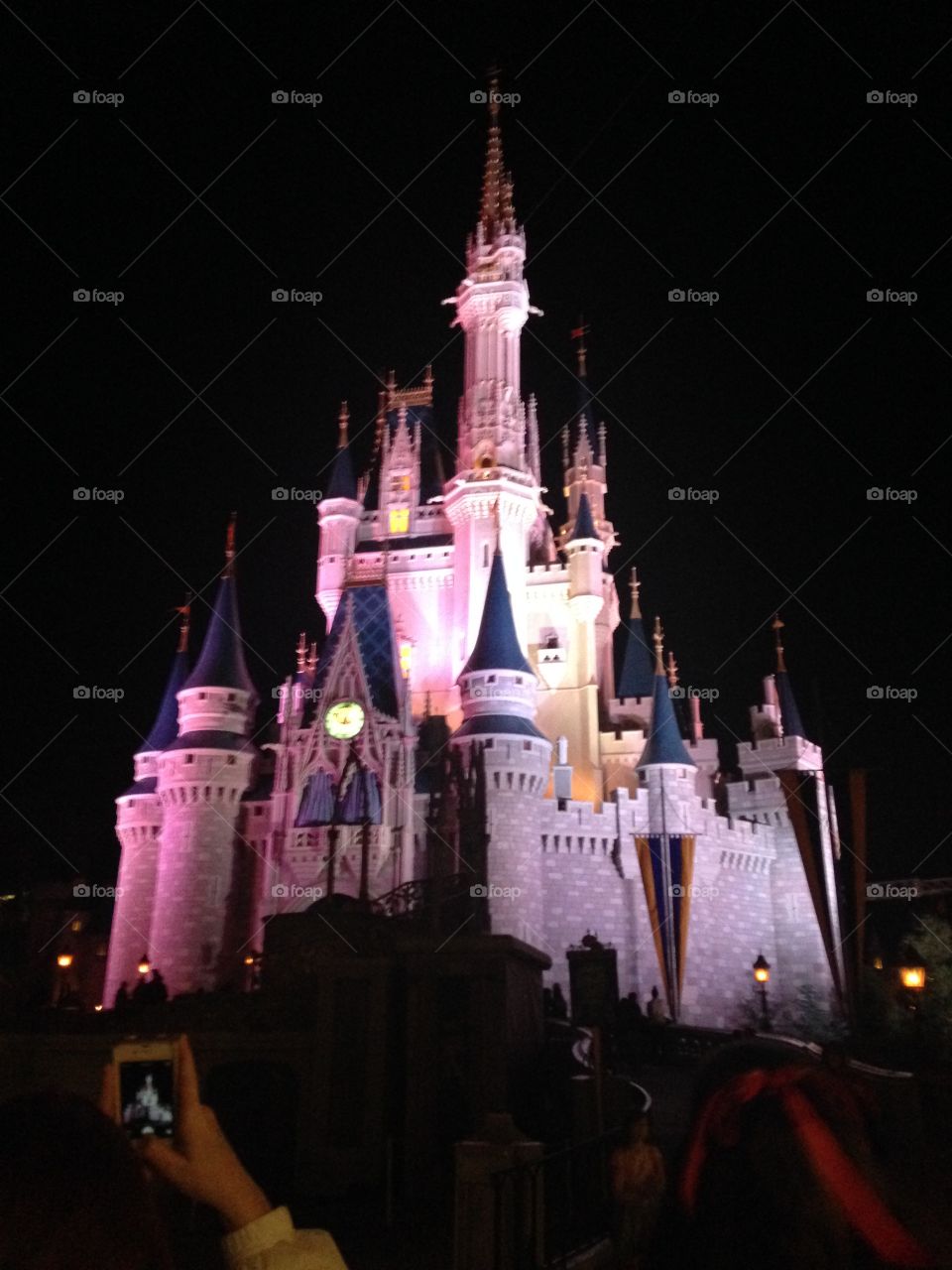 Where dreams come true. Walt Disney World