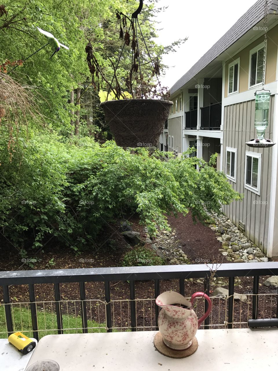 Just a shot off of my back porch of some plants I am waiting to come back.