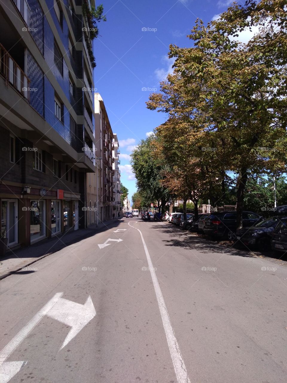 Battle: Countryside vs City