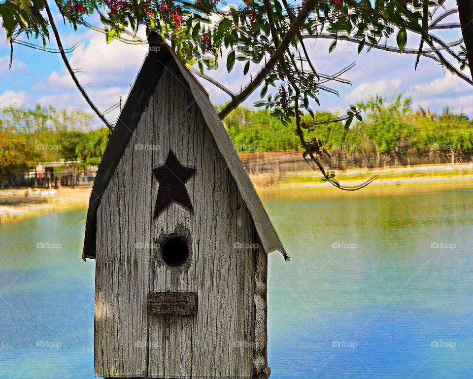 Birdhouse 