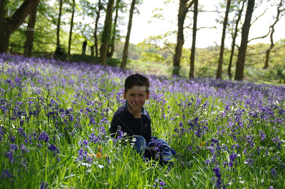 Boy in the bluebells