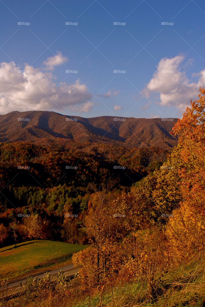 clouds trees fall autumn by refocusphoto