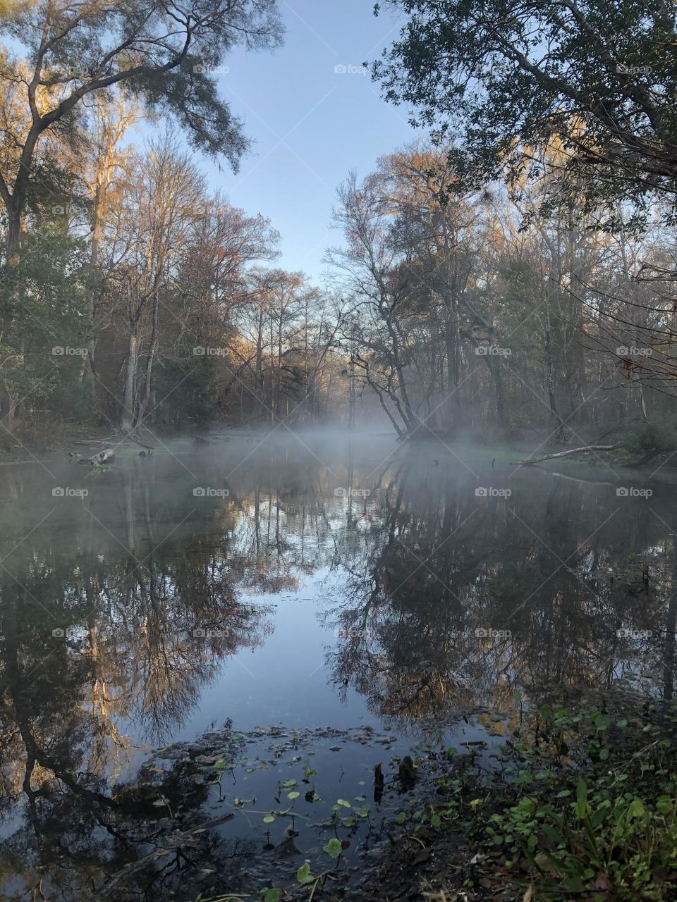 Misty morning over a spring-fed Florida river