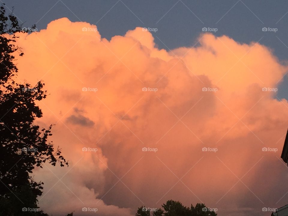 Red maple and orange clouds
After a fall rain