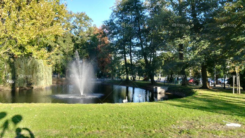 Park with lake and fountain