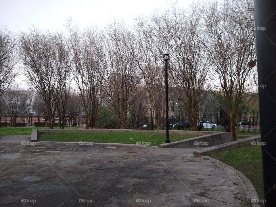 Park landscaping with naked winter trees. The last day of February.