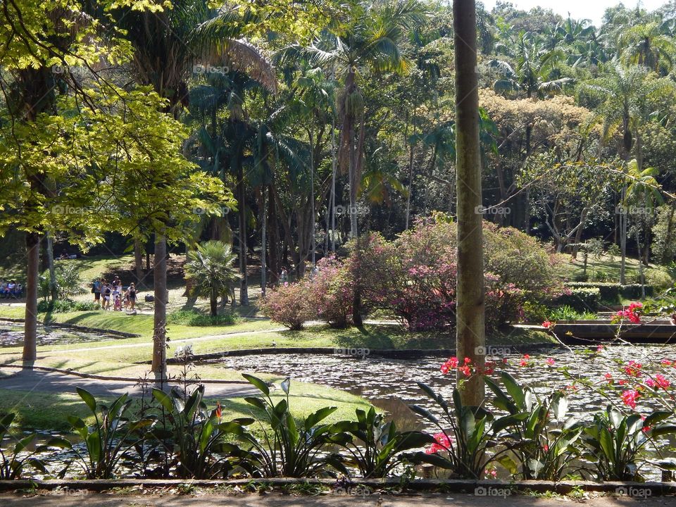 Botanical Garden on a spring day... perfect for a picnic.