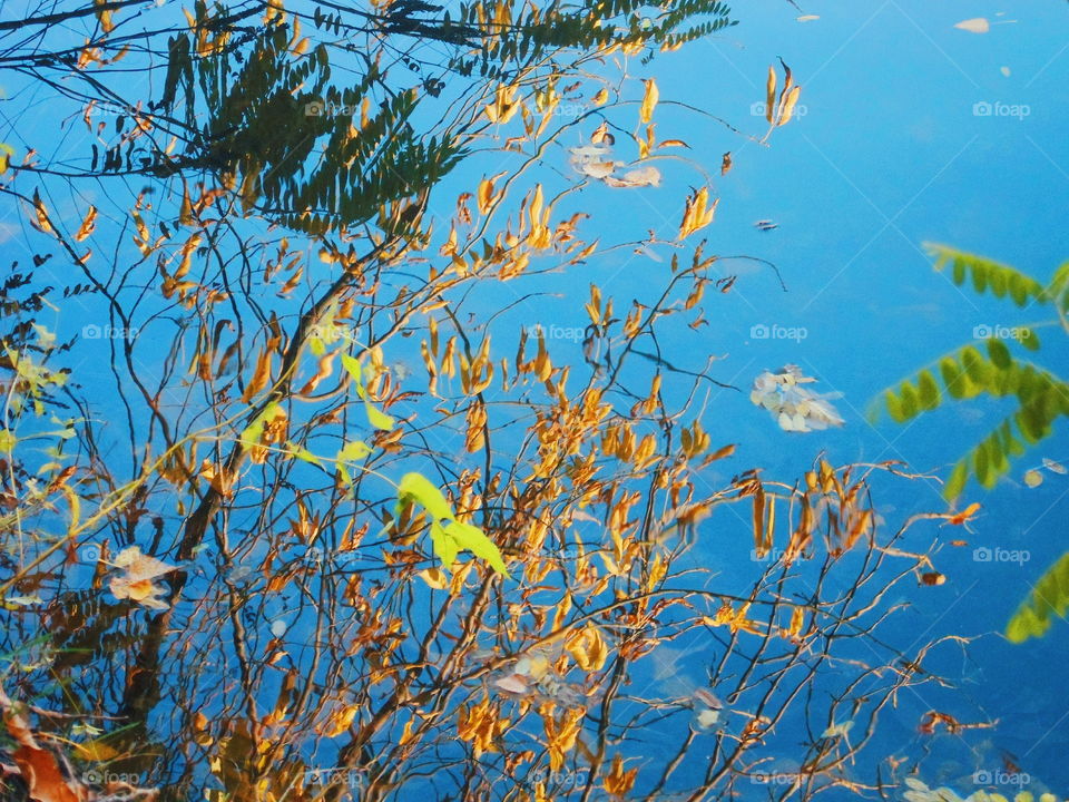 Reflection of autumn