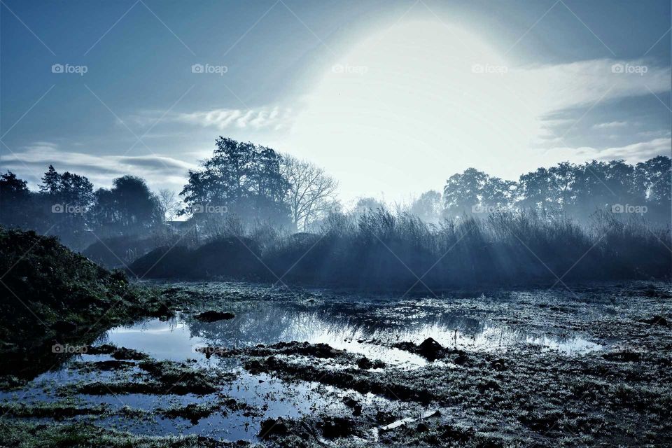 Mysterious blue landscape with trees sun and water early in a foggy autumn morning