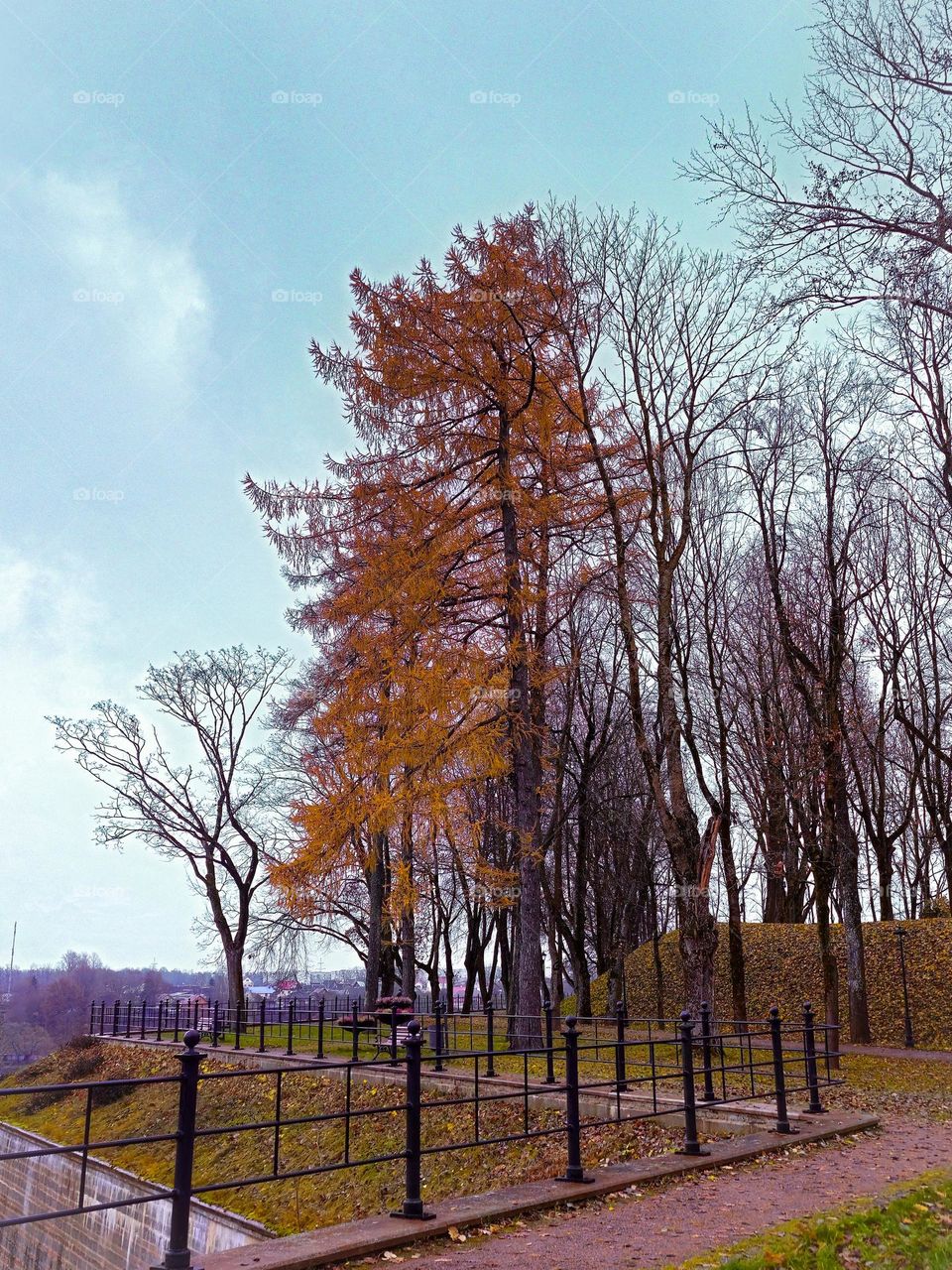 autumn park