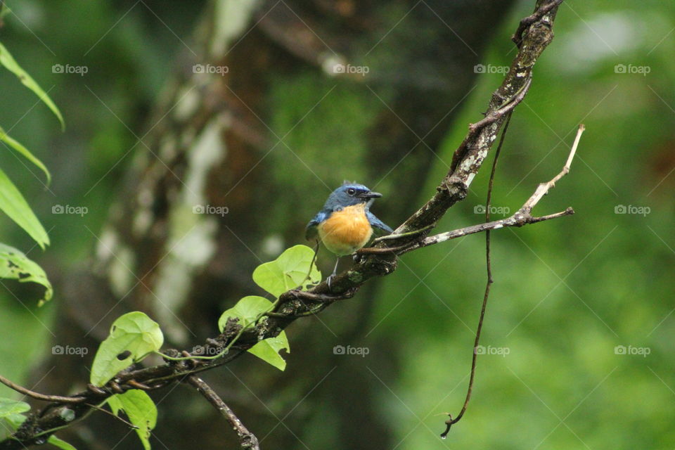 Amazing photography of bird