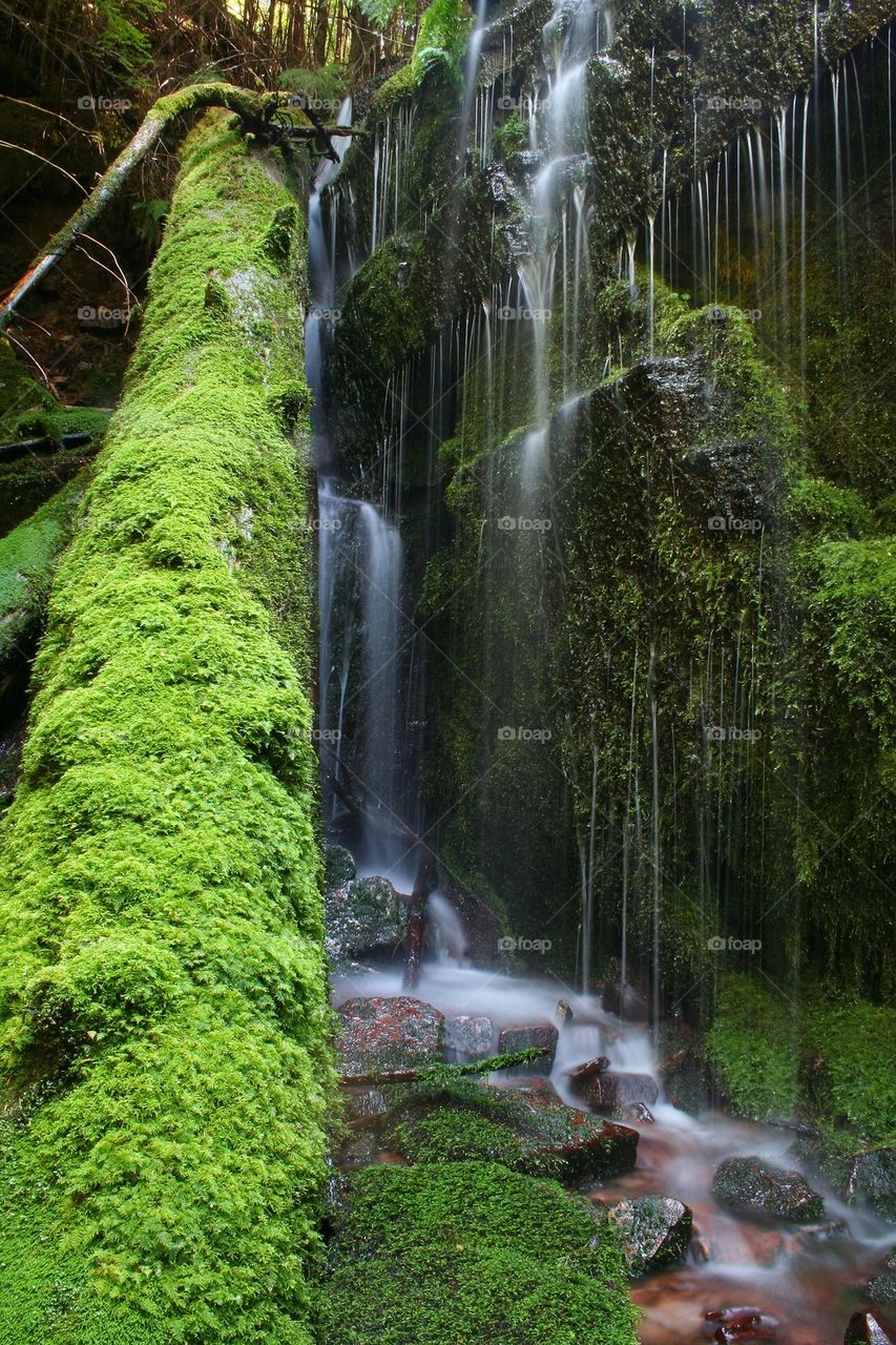 Green Log Waterfall