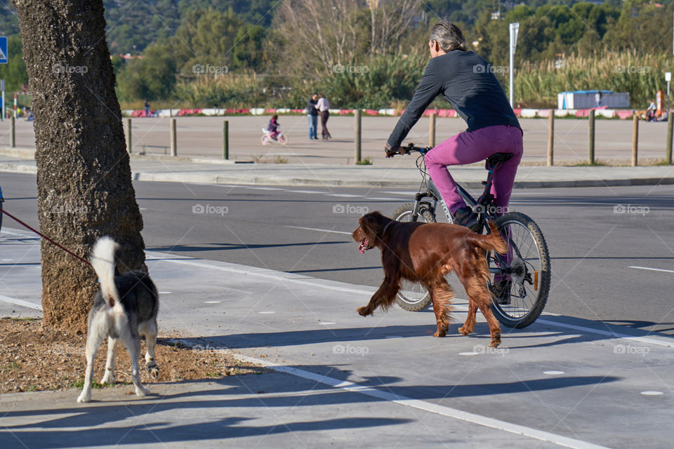 Walking and Running 