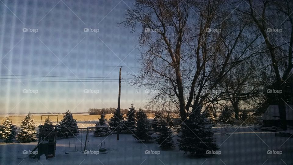 Tree, Winter, No Person, Landscape, Outdoors