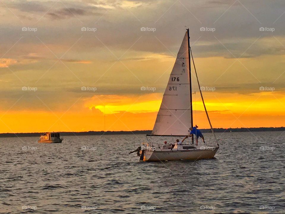 Sailboat, Watercraft, Water, Ocean, Sail
