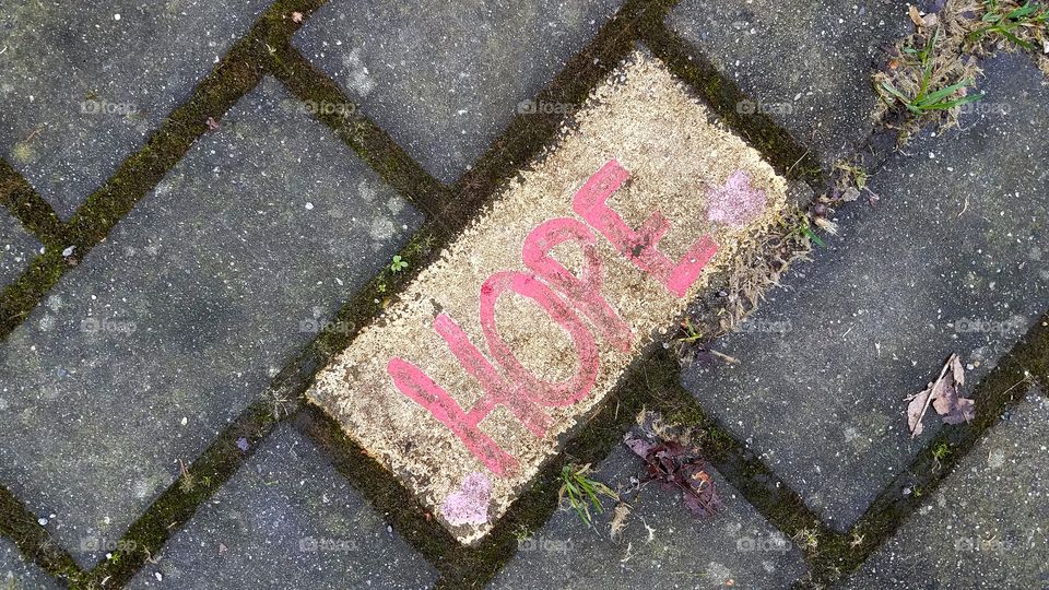 flatlay of path with bright painted brick with hope