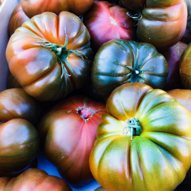 Tomatoes 