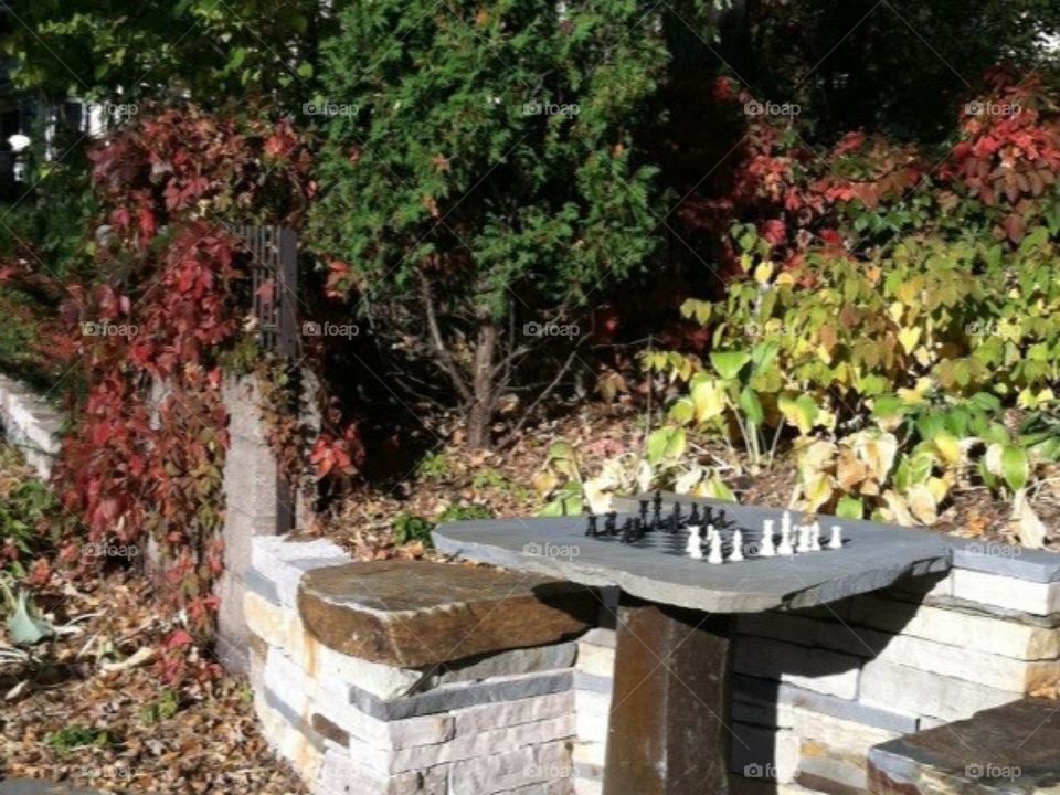 Outdoor chess!