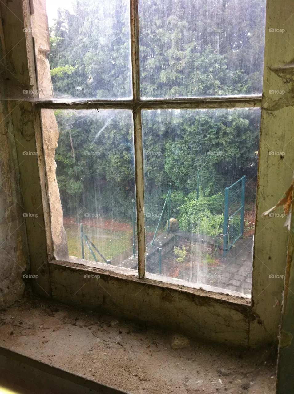 Window