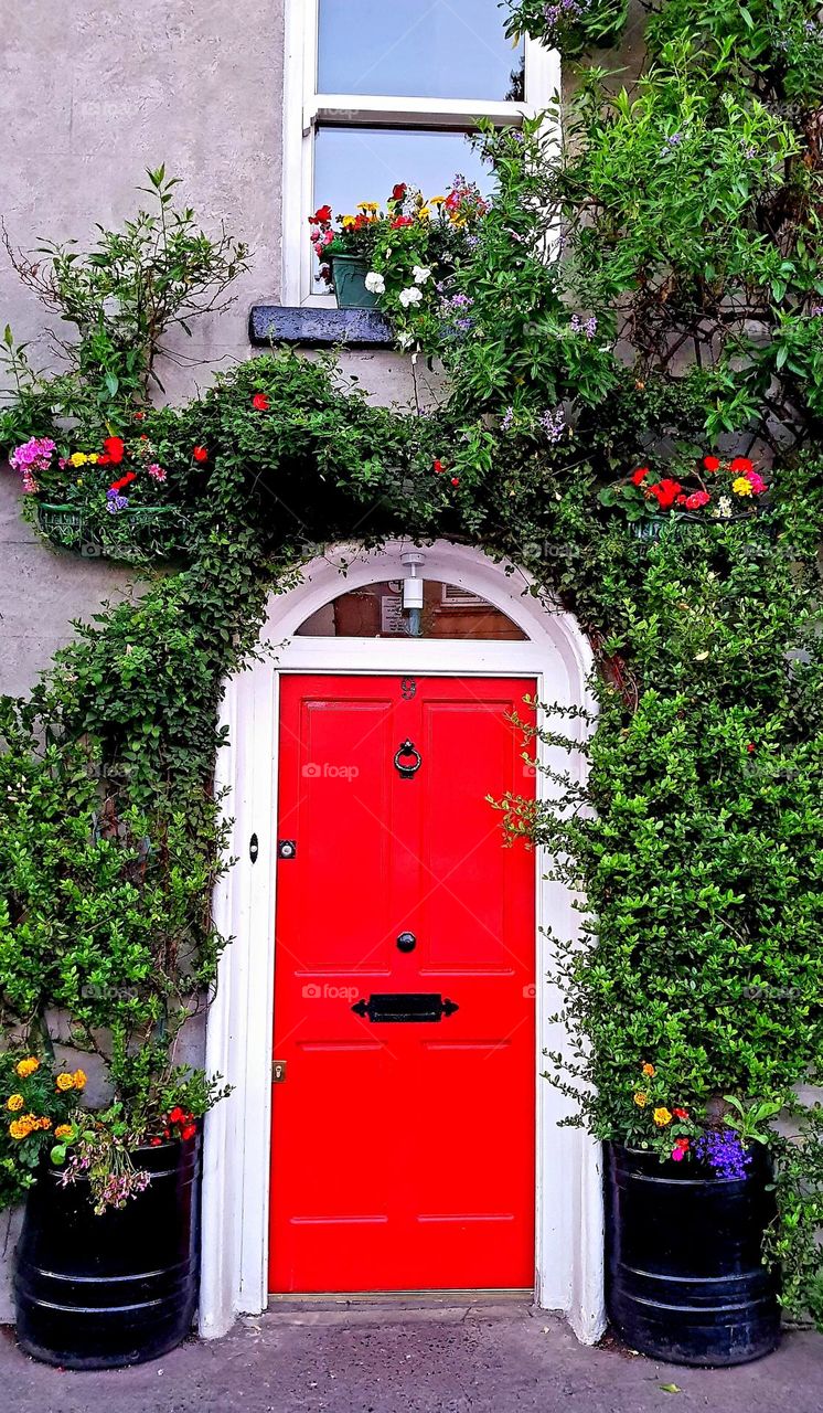 Red door